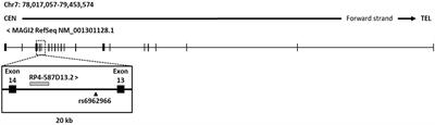 MAGI2 Gene Region and Celiac Disease